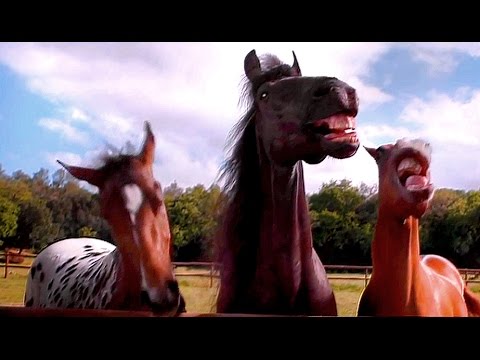 Volkswagen Tiguan Horses Laugh - Commercial 2016