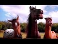 Volkswagen Tiguan Horses Laugh Commercial 2016 