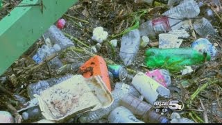 Celebrity Stricter Code Enforcement Helping to Clean-up Mobile Profile