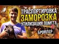 Выращивание цыплёнка бройлер кобб 500 утилизация помета, транспортировка цыплёнка бизнес на бройлере