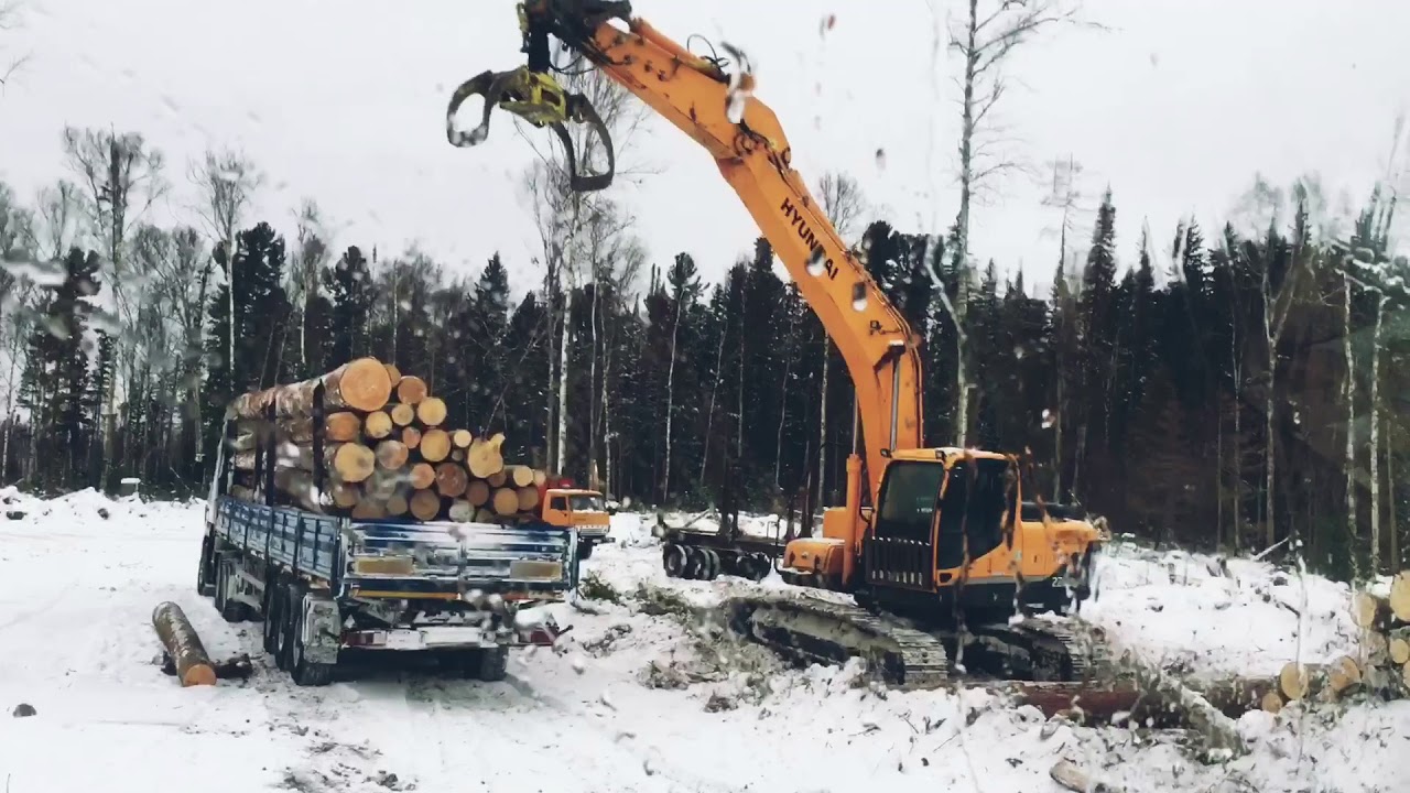 Маз лесовоз вездеход