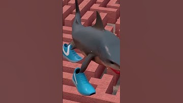 GUESS WHO!! ALL SIZE BRAINROT RAP SONG BR BR PATAPIM TRALALAERO TRALALA DAMILY AND OTHER Garry