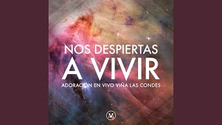 Video thumbnail of "Adoración Viña (Vineyard en Español) - Contigo Quiero Estar [En Vivo]"