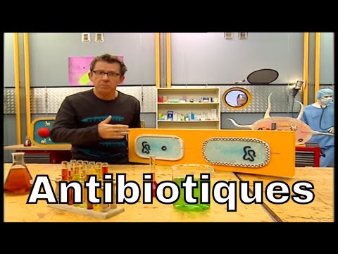 Vidéo: Pourquoi les archées sont-elles résistantes aux antibiotiques ?