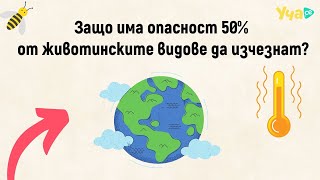 :    50%     ?