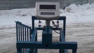 Весы для взвешивания животных (подвесная клетка) Весы для взвешивания животных (подвесная клетка)