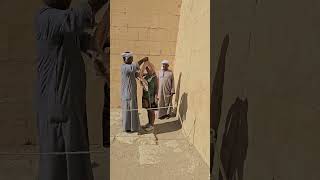 Download Lagu Mastering the Art of Head Covering: A Guide from Egyptians at Hatshepsut Temple MP3