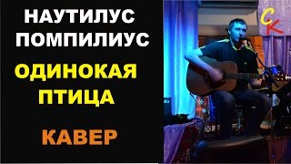 Наутилус Помпилиус - ОДИНОКАЯ ПТИЦА (кавер - Константин Сапрыкин)