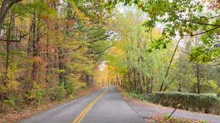 Oatka Trail Fall Colors 2025