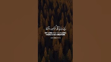 تلاوة جميلة/مشاري فالح