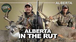 Combo Deer Hunt on the Blood Reserve | Canada in the Rough