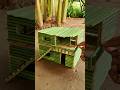 Jungle Me Bamboo Se Banaya Ek Chhota Sa Dream House 🏡✨ #minihouse #woodworking