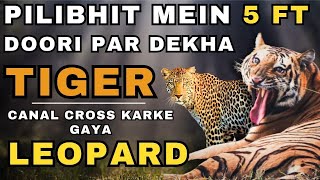 TIGER SIGHTING FOR 40 MINS | LEOPARD CROSSING CANAL | PART-2| JUNGLE SAFARI | PILIBHIT TR | UP #hd