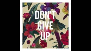 Video thumbnail of "Washed Out - Don't Give Up"