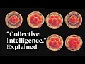 The beauty of collective intelligence explained by a developmental biologist  michael levin