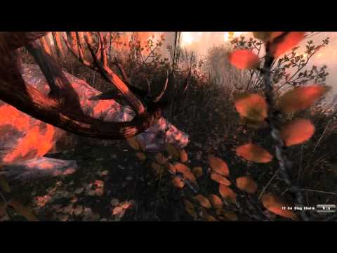 theHunter - Red Deer Shaking Head Syndrome(Bug)