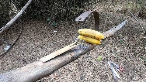 cách bẩy thú rừng | bẩy sóc bằng lưởi cưa siêu nhạy.