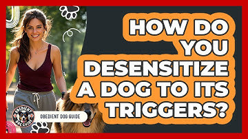 How Do You Desensitize A Dog To Its Triggers? - Obedient Dog Guide