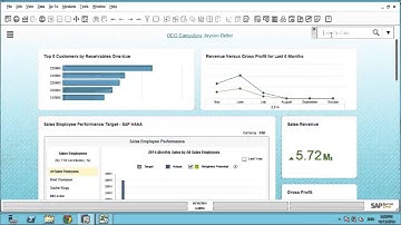 Introduction of SAP Business One