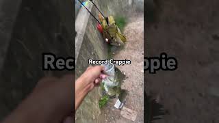 16” 3 lbs crappie caught at Core Creek, PA