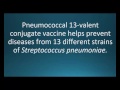 conjugate vaccine - YouTube