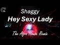 Shaggy Hey Sexy Lady Afro House Remix 