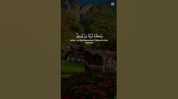 #سعود_الشريم #تلاوة_من الحرم المكي#راحة_نفسية #اكسبلور #المصحف _المرتل
