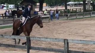 Duo Jr Hunters