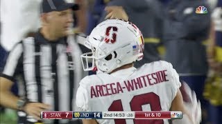 JJ Arcega-Whiteside (Stanford WR #19) Vs. Notre Dame 2018