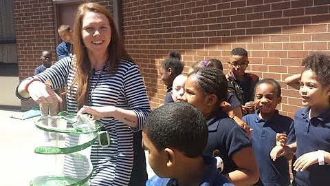 Butterfly Release 2015