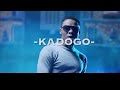 Alikiba-Kadogo (official music video)