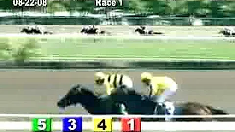 ARLINGTON PARK, 2008-08-22, Race 1