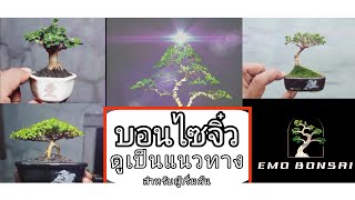 บอนไซจิ๋ว ดูเป็นแนวทาง สำหรับผู้เริ่มต้น | #bonsaimini #บอนไซ ... by_ #EmoBonsai