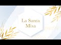 Santa Misa - XV Domingo del Tiempo Ordinario