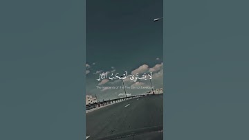 ما تيسر من سورة الحشر