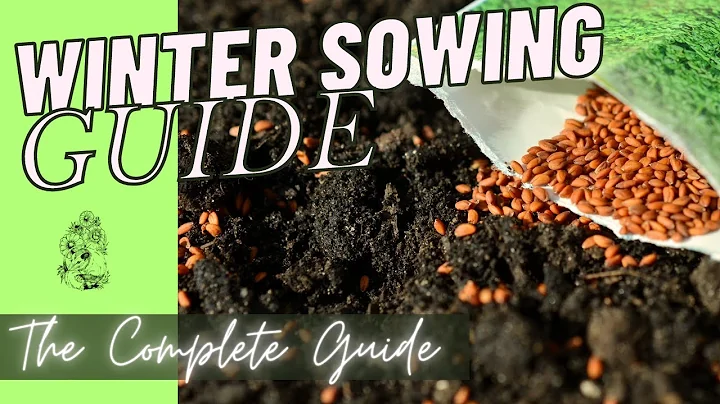 Winter Sowing: The Complete Guide to Seed Starting without Grow Lights