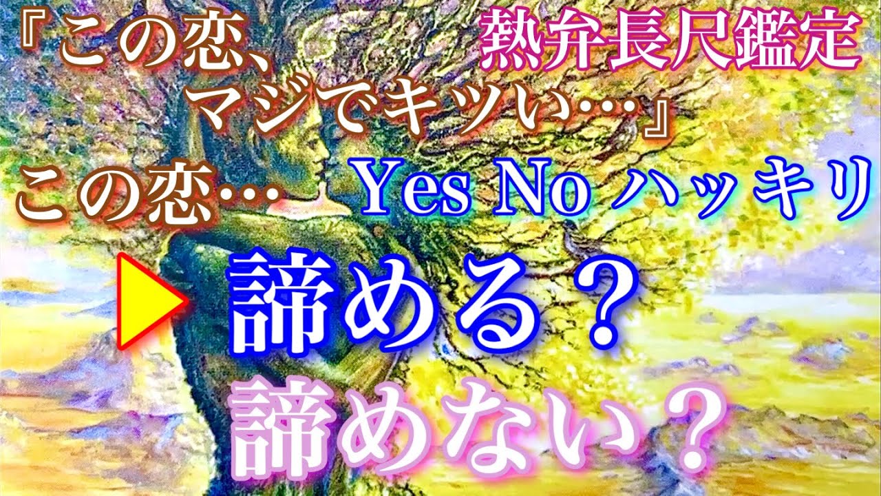 【🦋熱弁長尺鑑定💞】Yes /Noハッキリでます⚠️『この恋、マジでキツい…』諦める？諦めない？〜あの人の想いと本音〜🦋