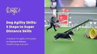 FREE Dog Agility Webinar:  5 Steps to Super Distance Skills