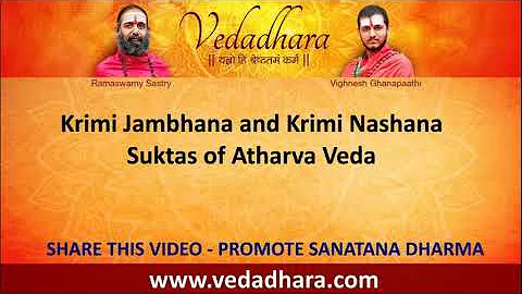 Krimi Nashana Suktam from Atharva Veda | Germ Killing Mantra