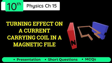 Turning Effect of Current Carrying Coil in a Magnetic Field Class 10 Physics
