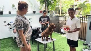 FANS FROM SULAWESI COME TO JAKARTA TO MEET FLOKI AND MUSSO ‼️