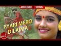 Pyari mero dilaima sunil pandit ft sagam pandit  anushka phuljel  new nepali adhunik song 2018