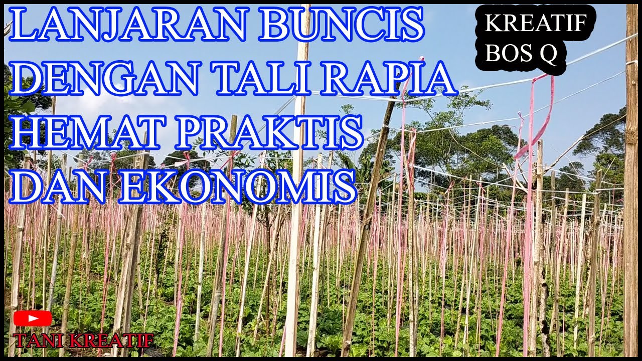 LanjaranBuncis Dengan TaliRafia BisaHemat 75 % Tanikreatif