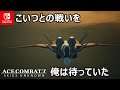 息を飲む空戦シーンと物語！シリーズ最高傑作ACECOMBAT7が面白い訳