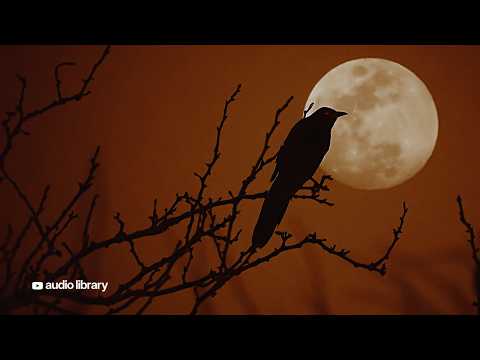Spooky Music for Halloween & Horror Videos 🎃 (No Copyright) | Alex-Productions - Halloween Moon