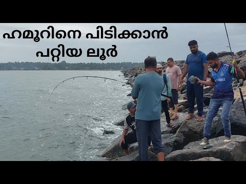 ഹമൂറിനെ പിടിക്കാൻ പറ്റിയ ലൂർ fishing | sea fishing | fishing malayalam | fisherman | fish | casting