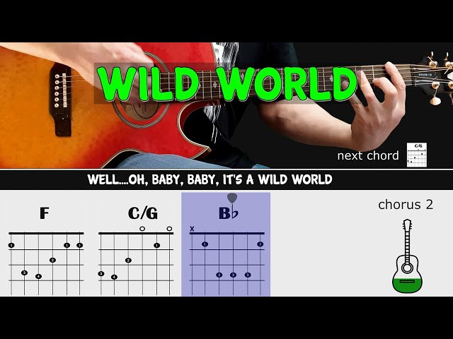 WILD WORLD - Mr. Big - Guitar lesson - Acoustic guitar with chords u0026 lyrics class=