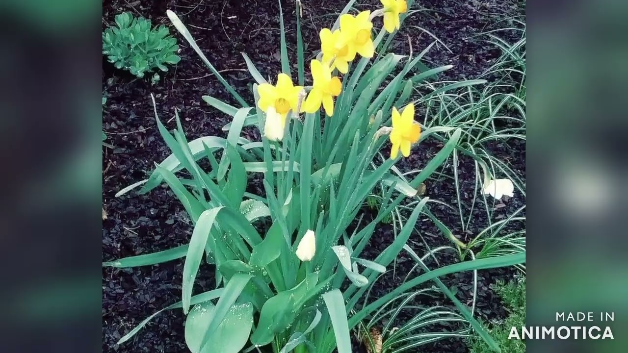 bringing the warm of summer with more natural slide shows