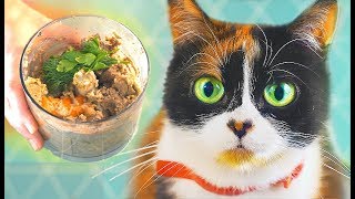 MAKING PATE FOR CAT!