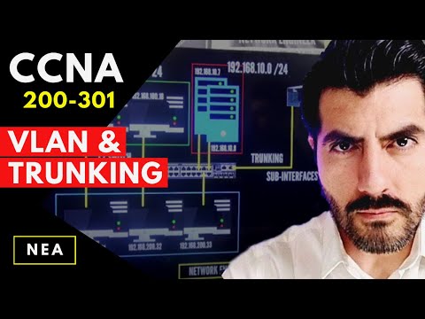 What is a VLAN and Trunking CCNA 200-301 (Routing on the stick) configuration PART 3 /4